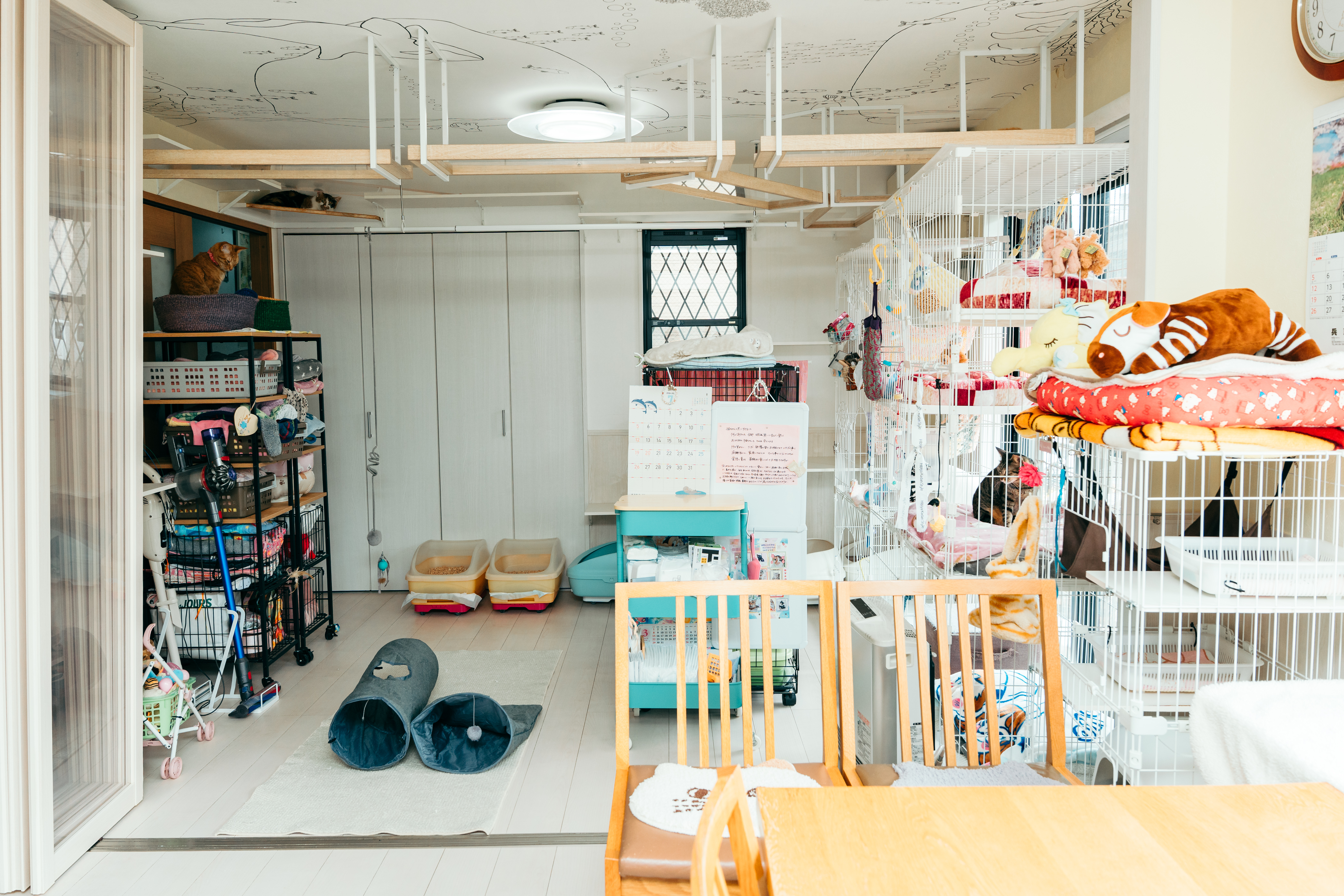 施設内観 キャットウォーク・ケージエリア