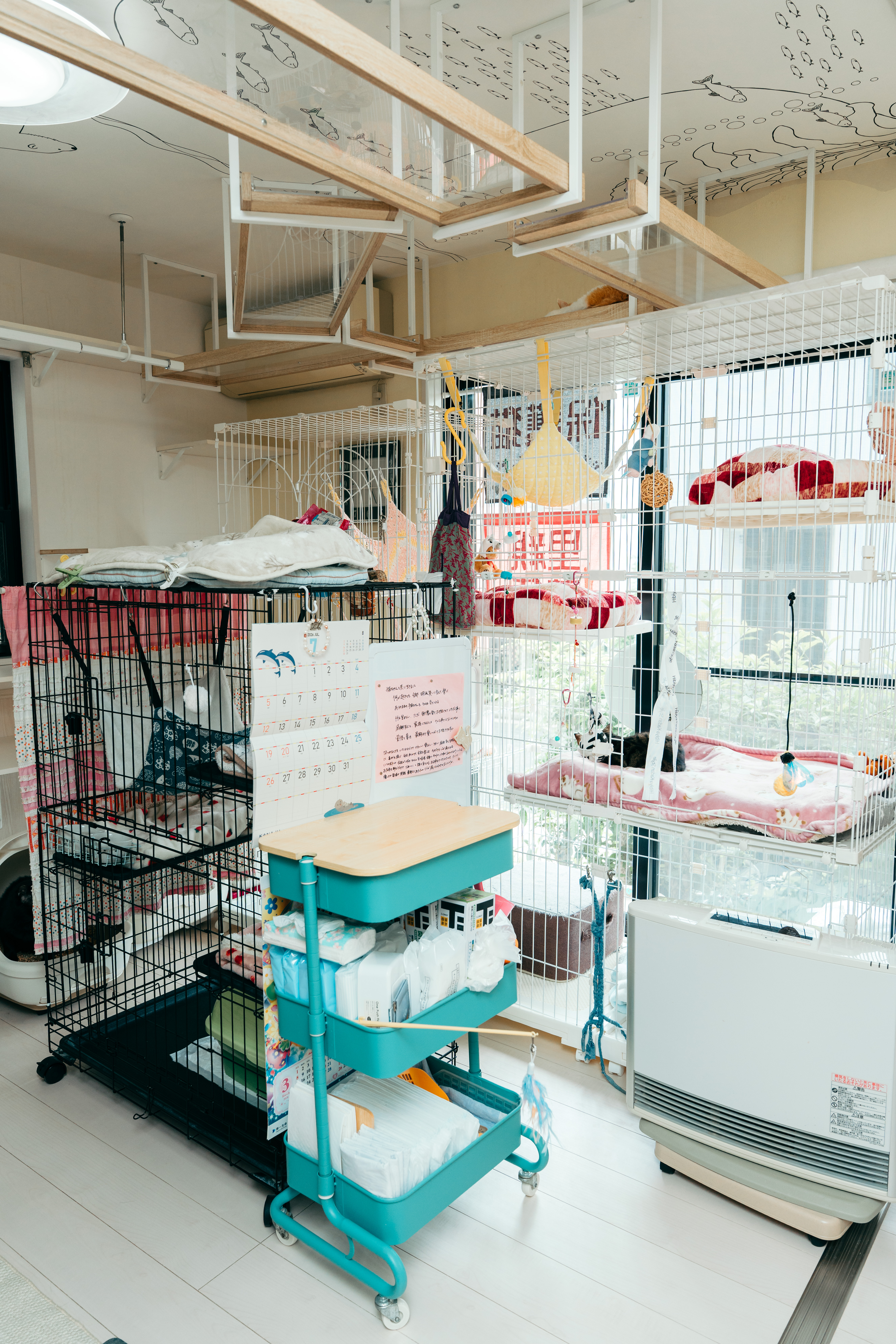 施設内観 ケージ・遊び場エリア