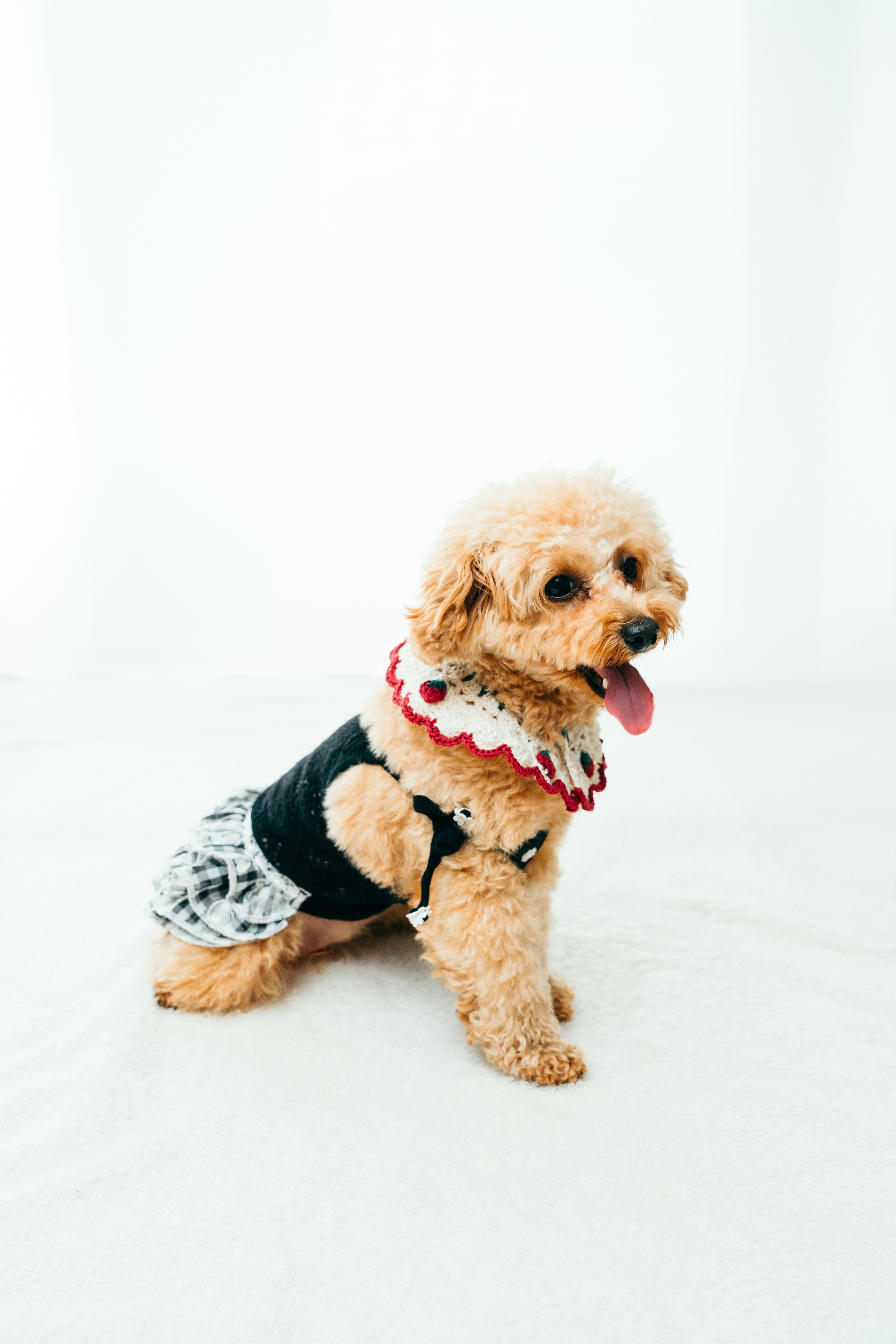 バンダナ着用例