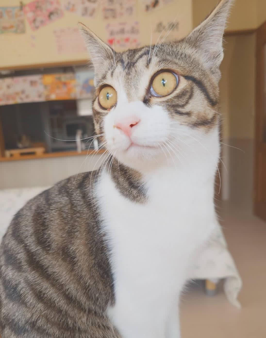 結くん