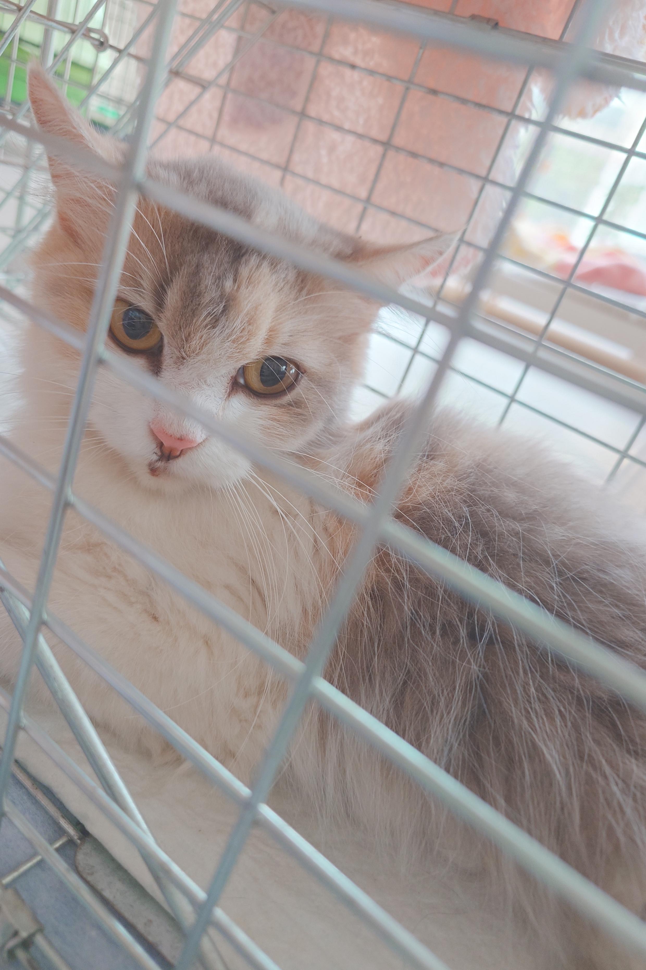 まるちゃん